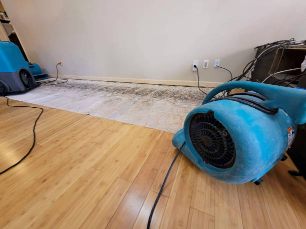 Professional Structural Drying technician working in Cortland, IL